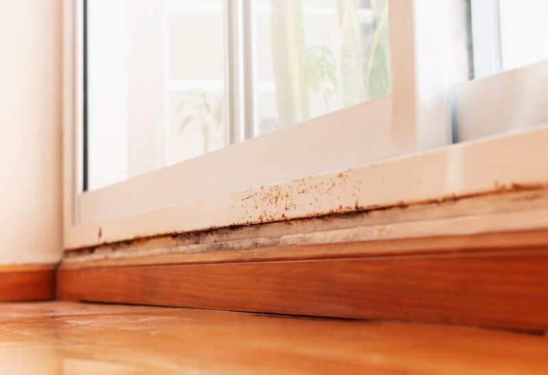 Knowing When to Replace Your Windows