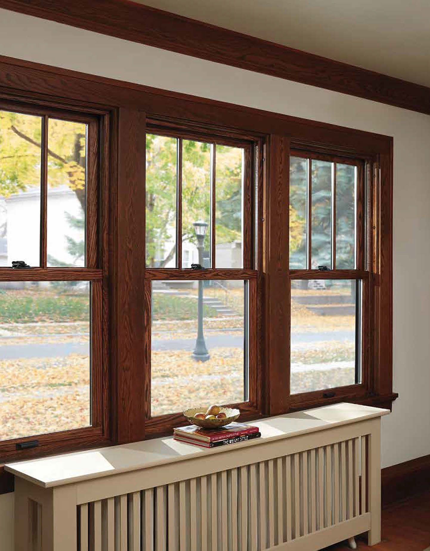 Andersen Windows
